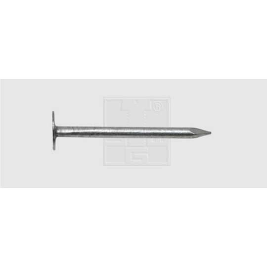 Skifferstift (Ø x L) 2.8 mm x 30 mm Stål varmförzinkat SWG 2.5 kg
