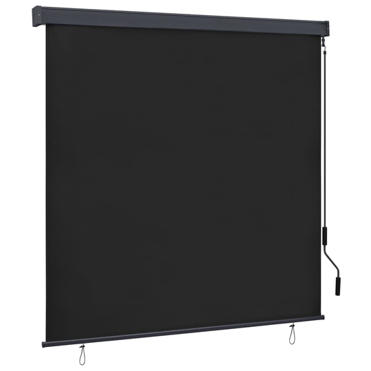 vidaXL Rullgardin utomhus 160x250 cm antracit