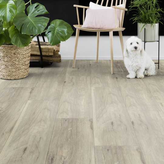 Vinylgolv Gerflor Senso Premium Clic Authentic Blond