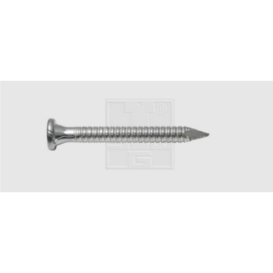 Ankarspikar (Ø x L) 4 mm x 60 mm Stål förzinkad SWG 68511909070 250 st