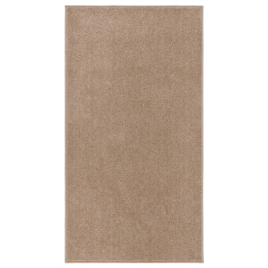vidaXL Matta 80x150 cm brun
