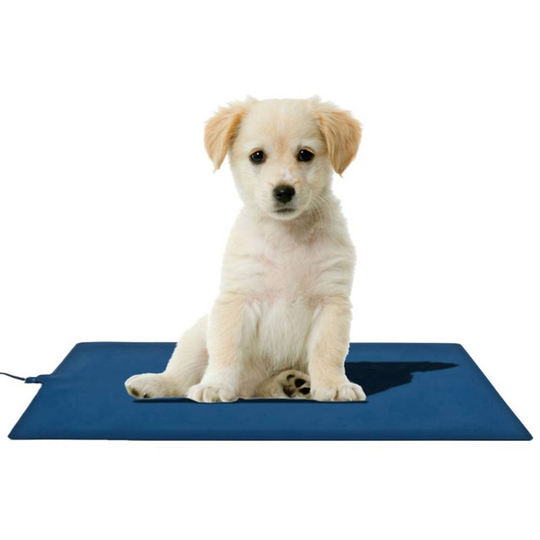 Mat4Pet 464365 Värmematta (L x B) 500 mm x 300 mm Blå
