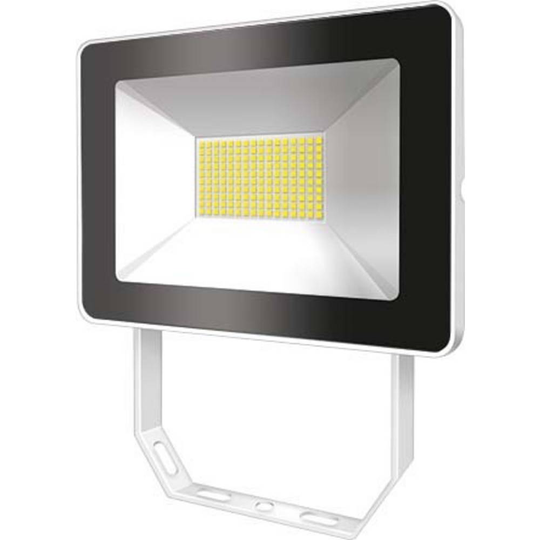 ESYLUX OFLBASICLED10W 4K WH EL10810909 LED-utomhusspotlight 10 W N/A