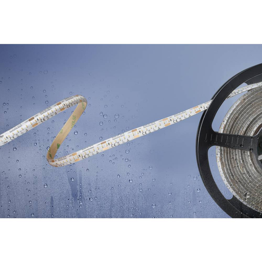 Barthelme Basic 51540133 51540133 LED-list med öppen kabelände 24 V/DC 5 m N/A