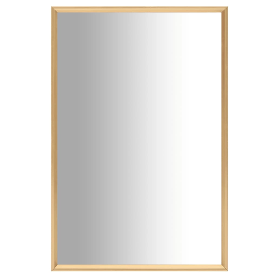 vidaXL Spegel guld 60x40 cm