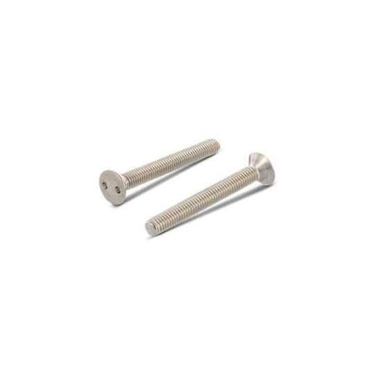 Schäfer & Peters 91032630 Säkerhetsskruv FÖRSÄNKT HUVUD, TVÅHÅLSDRIFT, 100-pack