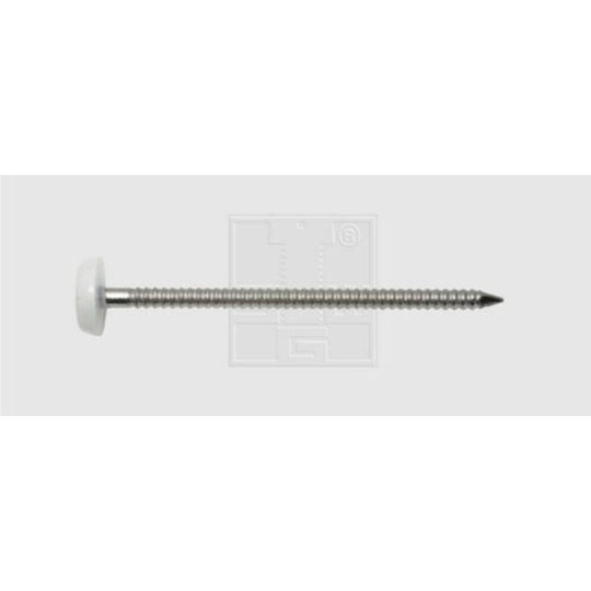 Spik med plasthuvud (Ø x L) 2 mm x 30 mm Rostfritt stål A4 SWG 1838168010 250 st