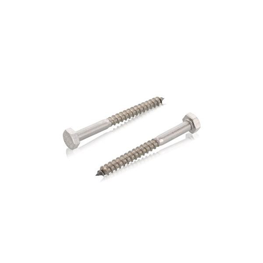 Schäfer & Peters 0571410100 Sexkantsträskruv 10 mm, T6S A4, DIN 571 10 x 100 mm, 50-pack