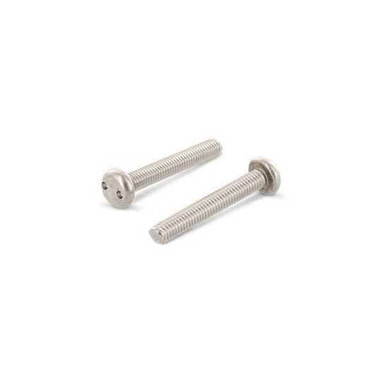 Schäfer & Peters 91012310 Säkerhetsskruv M3, med cylinderhuvud, A2, 100-pack M3 x 10 mm