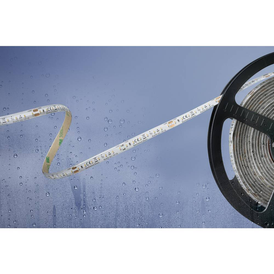 Barthelme Basic 51540234 51540234 LED-list med öppen kabelände 24 V/DC 5 m N/A
