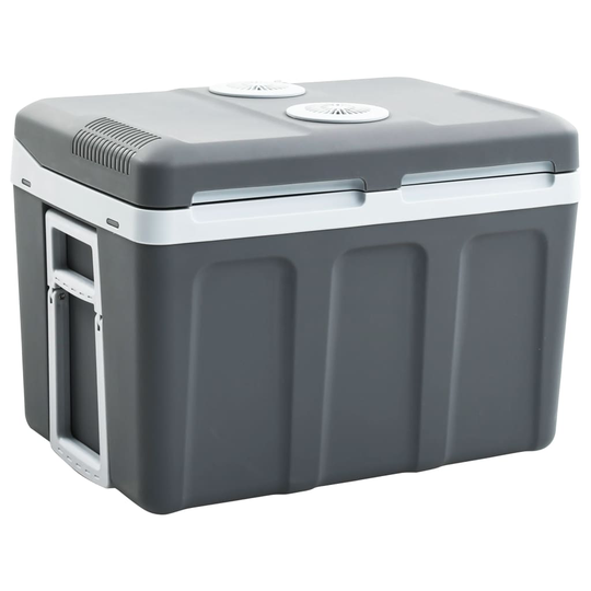 vidaXL Portabel termoelektrisk kylbox 45 L 12 V 230 V A++