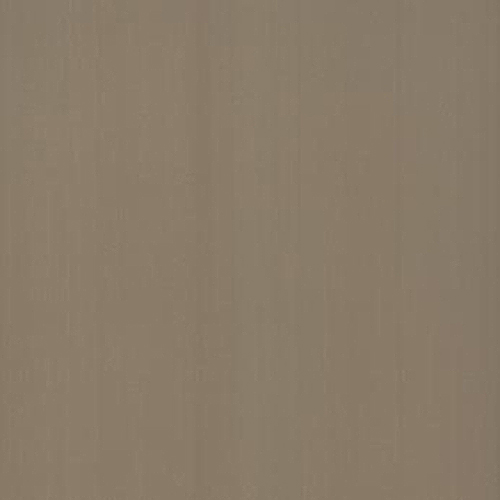 Vinylgolv Forbo Novilon Scandinavia Solid Oak 6356