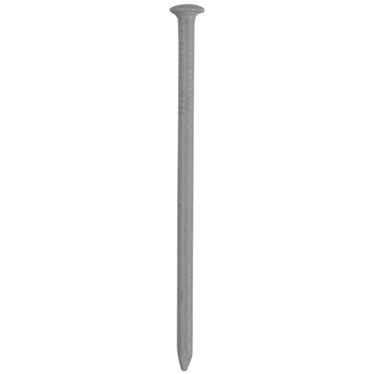 TRÅDSPIK VITLACK 35X1,7 1000ST | Beijerbygg Byggmaterial