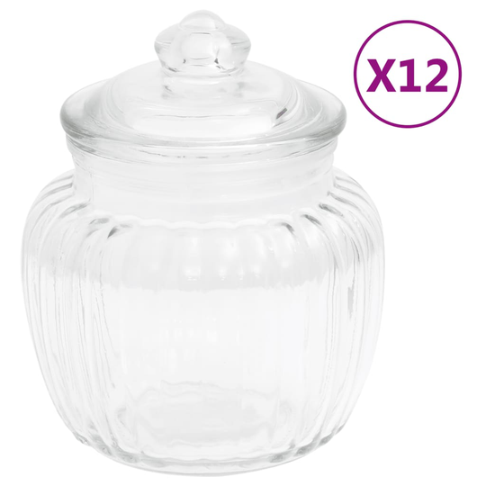 vidaXL Förvaringsburkar i glas 12 st 500 ml