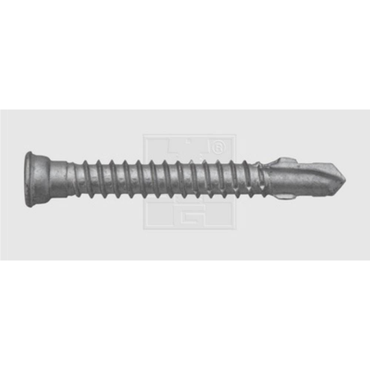 SWG 1810555510 Skruv terrass 5.5 mm 55 mm T-profil Rostfritt stål A4 Ruspert 100 st