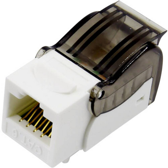 RJ45-koppling, CAT 6a Koppling rak Vit, Svart TRU COMPONENTS 93038C365 1 st