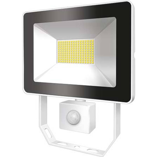 ESYLUX AFLBASICLED30W 4K WH EL10810725 LED-utomhusspotlight 30 W N/A