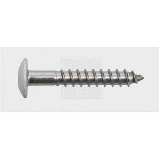 SWG 211535620 Fasadskruv 5.5 mm 35 mm T-profil Rostfritt stål A4 100 st