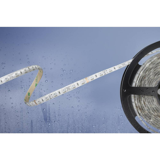 Barthelme Basic 51540831 51540831 LED-list med öppen kabelände 24 V/DC 5 m N/A