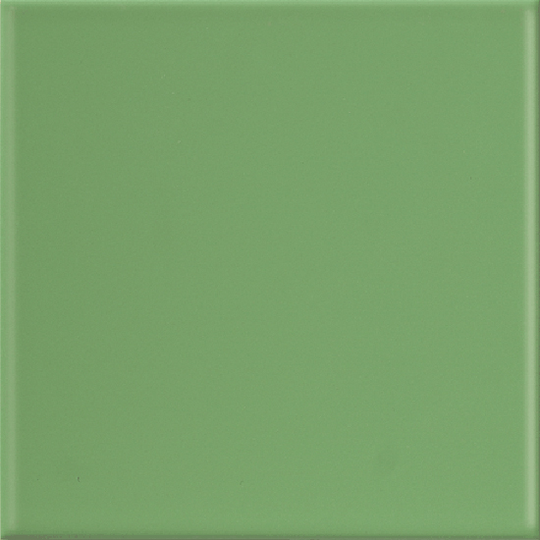Kakel Arredo Color Hierba Liso Matt 10x30 cm