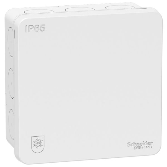 Schneider Electric IMT35334 Kopplingsdosa IP65, 2K Vit