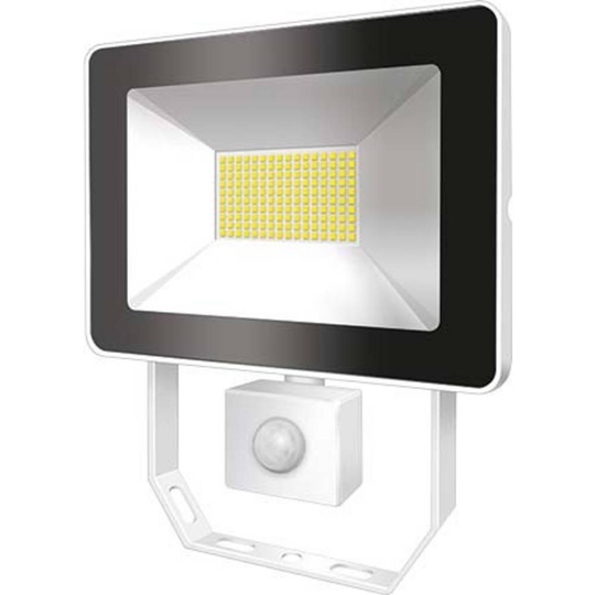 ESYLUX AFLBASICLED30W 3K WH EL10810848 LED-utomhusspotlight 30 W N/A
