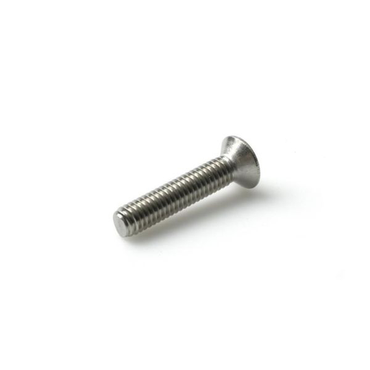 Schäfer & Peters 096443 6 Spårskruv M3 x 6 mm, A4 syrafast, 500-pack