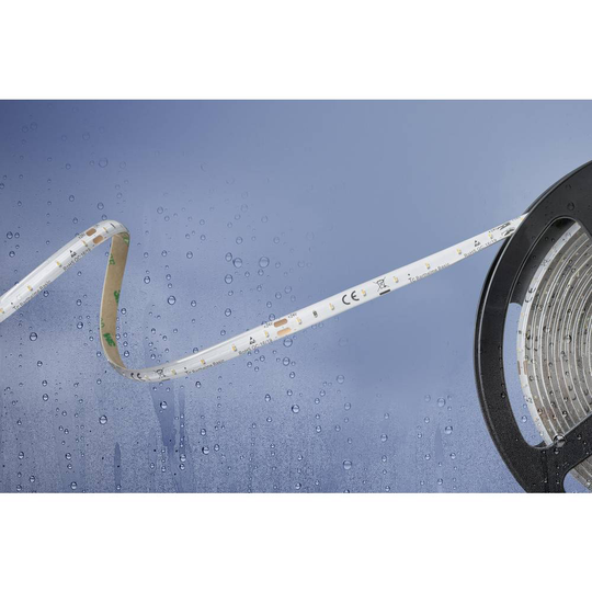 Barthelme Basic 51540328 51540328 LED-list med öppen kabelände 24 V/DC 5 m N/A