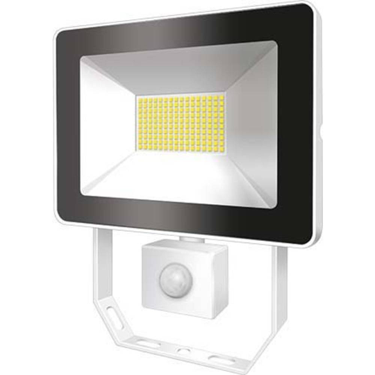 ESYLUX AFLBASICLED10W 4K WH EL10810923 LED-utomhusspotlight 10 W N/A