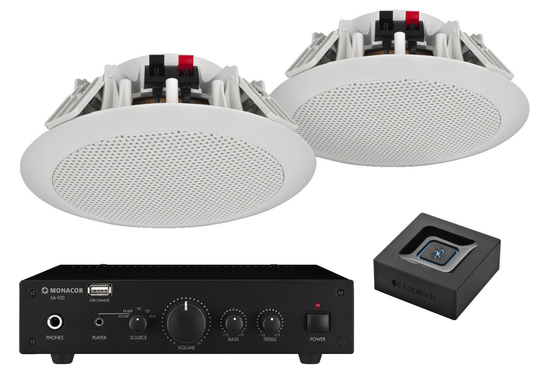 Högtalare bastu, bluetooth - 2 infällda högtalare och förstärkare