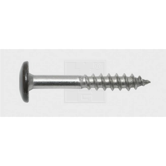 SWG 211535520 Fasadskruv 5.5 mm 35 mm T-profil Rostfritt stål A4 100 st