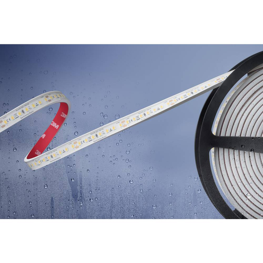 Barthelme Basic 51540528 51540528 LED-list med öppen kabelände 24 V/DC 5 m N/A