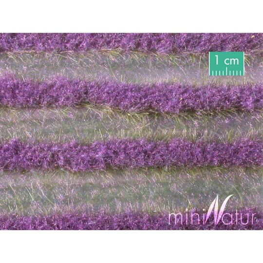 Buske Lavendel Mininatur 792-22 S