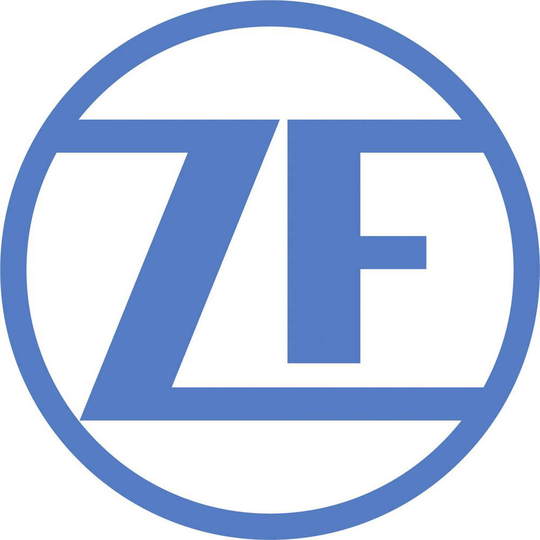 ZF Snap-action-switch GPTBLS01 100 st